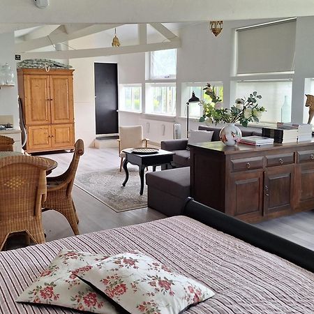 Gastenverblijf Blankenhuispad Wilp-Achterhoek Chambre photo